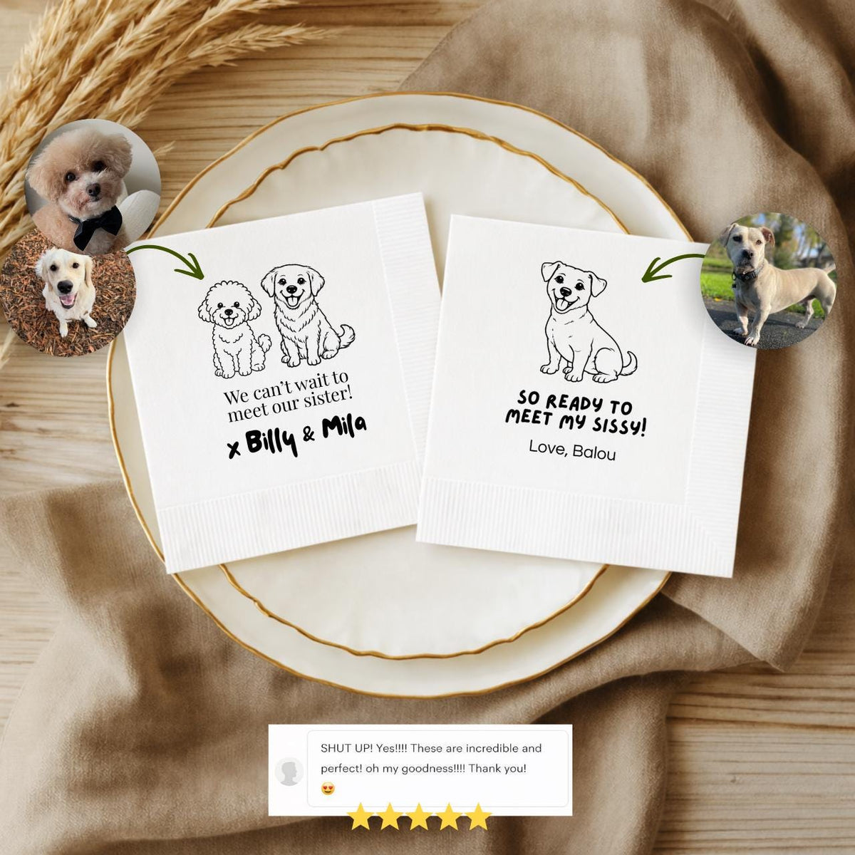 We hand-draw your pet, any animal