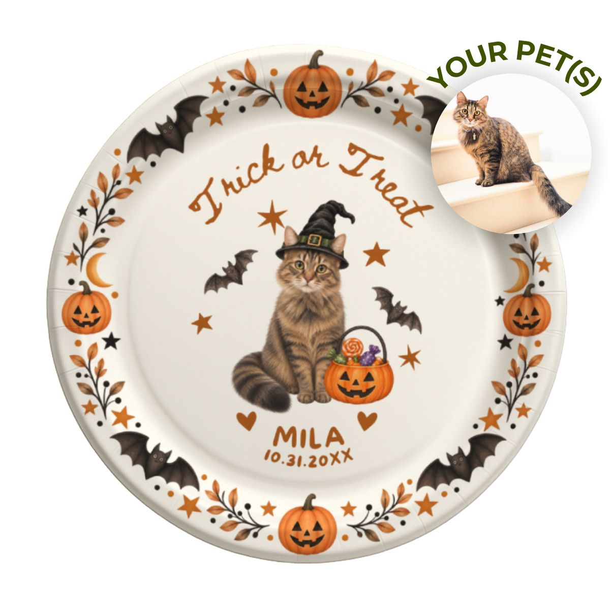Trick or treat cat Halloween paper plates with a tabby cat in a witch hat holding a candy pumpkin pail