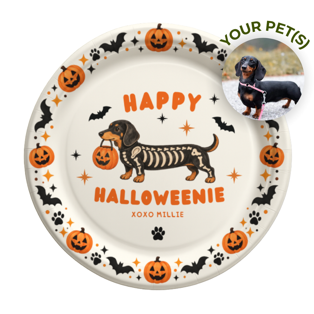 Halloweenie dachshund Halloween paper plates with a dachshund in a skeleton costume under Happy Halloweenie